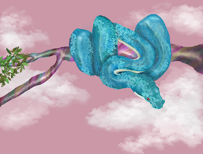 Snake Charm character design colorful design illustration illustrator modern