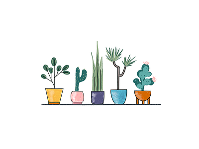 Plants cactus doodle doodles fun green illustration ipad plant plants pots pottery procreate texture