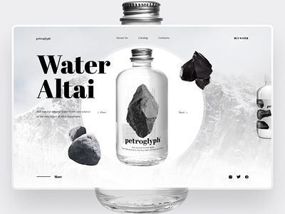 Water Altai app branding design graphic design illustration logo typography ui vector
