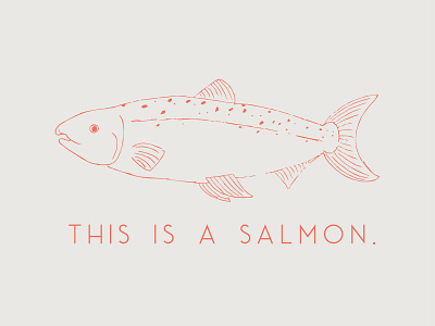 Salmon conservation fish illustration nature nature illustration ocean salmon