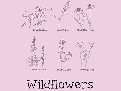 Wildflowers