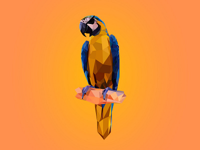 Low-poly parrot illustrator low poly parrot vector