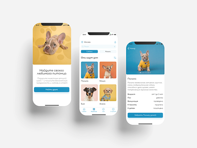 Pet shelter app concept app app design application dog figma pet pets shelter ui uiux webdesign