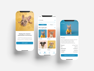 Pet shelter app concept