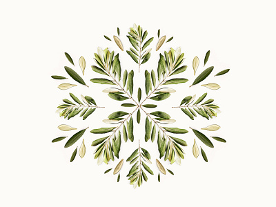 Botanical Pattern | Olive botanical leaves olive pattern