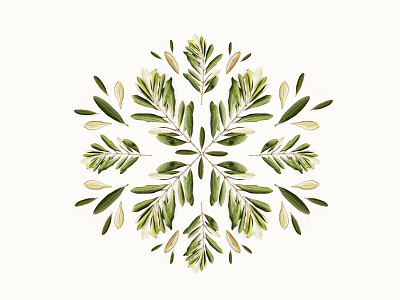 Botanical Pattern | Olive