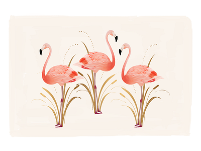 Flamingo Illustration