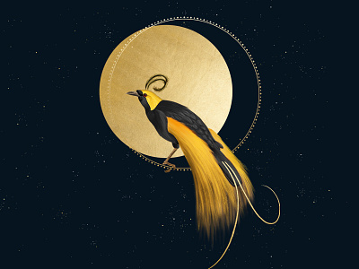 Astral Bird of Paradise astral bird of paradise cosmic gold illustration yellow