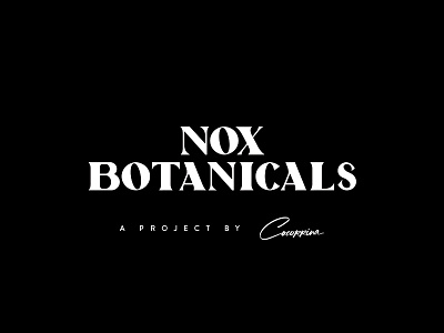 Nox Botanicals Custom Wordmark botanicals custom font heavy night nox serif