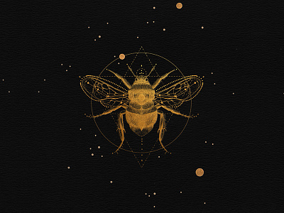 Sacred bee bee black geometric gold illustration sacred space stars