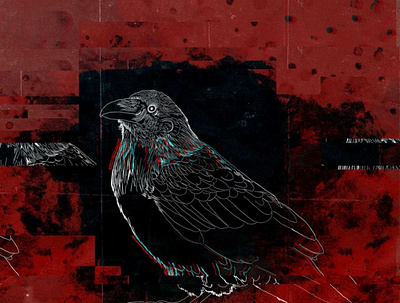 Crow Cover bird crow digital art digital illustration glitch graphic design rgb rgbsplit