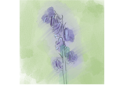 Bluebell Watercolour flower illustraion krita watercolour