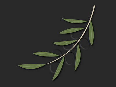 Olive Branch