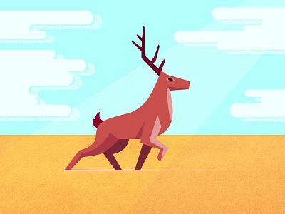 Deer