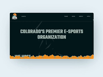 Home Page Layout for 303 ESPORTS Website branding css design html layout responsive design user experience web design