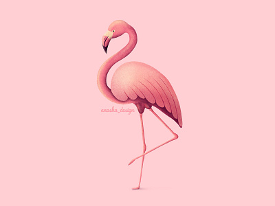 Pink flamingo 2d animal art bird branding cartoon colorful flamingo graphic design illustration isolated logo pink postcard print textile tropical ui wallpaper