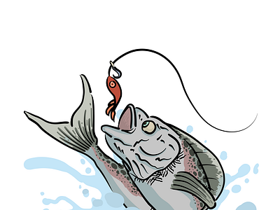 Trout Illustration