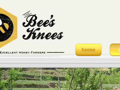 The Bee's Knees Webpage bees black honey yellow yummy