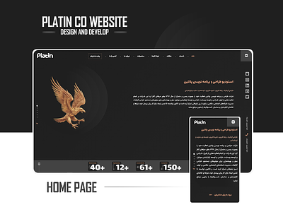 Platin Project dark design develop flat graphic graphic design hamteam javascript minimal ui ux website