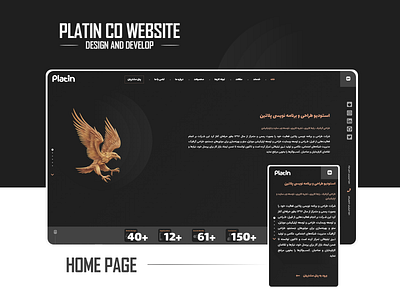 Platin Project