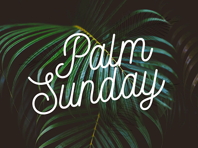 Palm Sunday (variation) celebration church design easter graphic palm series sermon sunday