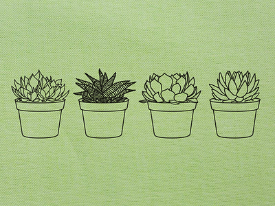 Succulents cute green illustration little plants silly succulents