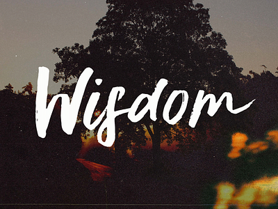 Wisdom Sermon Series