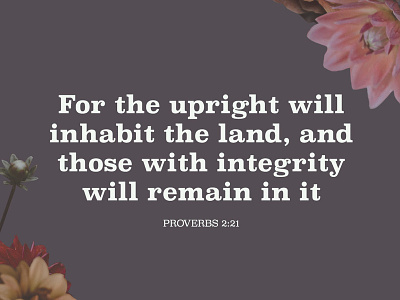 Proverbs Social Media Post church design graphic proverbs scripture series sermon simple sunday verse