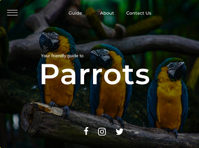 Parrots Guide Landing Page ui