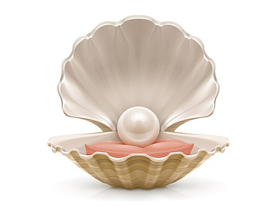 Pearl illustration pearl shell vector