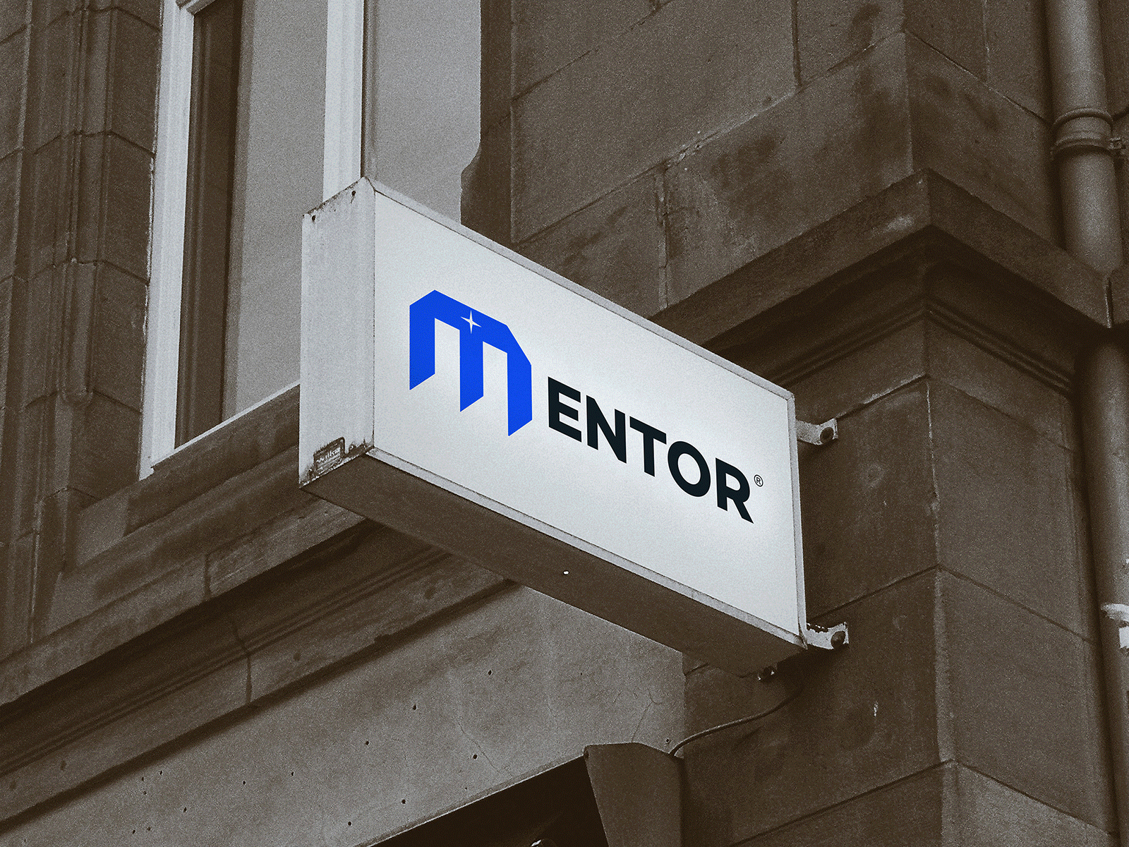 Mentor | Brand Identity