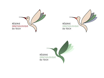 Reserve Du Teich birds green logo logo design logoconcept logoconceptday logodesign logotype nature