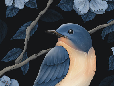 Eastern Bluebird bird design digital art drawing eastern bluebird illustration poster