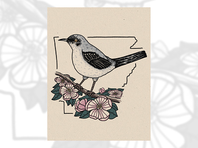 Northern Mockingbird apple blossom arkansas birds design drawing flowers illustration northern mockingbird