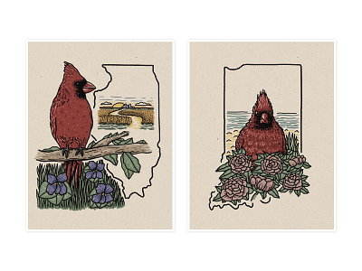 Northern Cardinal birds cardinal design drawing flowers illinois illustration indiana northern cardinal peony violet