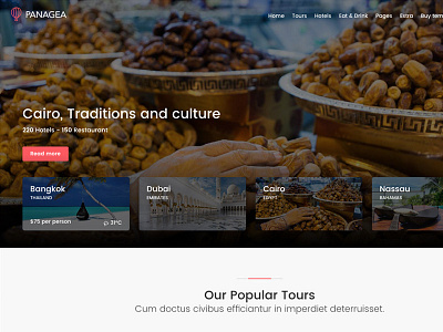 Panagea - Travel and Tours Home Slider airbnb booking directory holiday hotels listings restaurants tourism tours travel tripadvisor