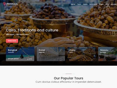 Panagea - Travel and Tours Home Slider