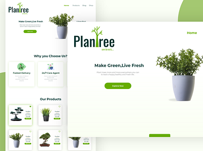 PlanTree Plant shop branding design graphic design illustration photoshop pla plant plant shop ui uiux ux webdesign