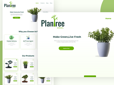 PlanTree Plant shop