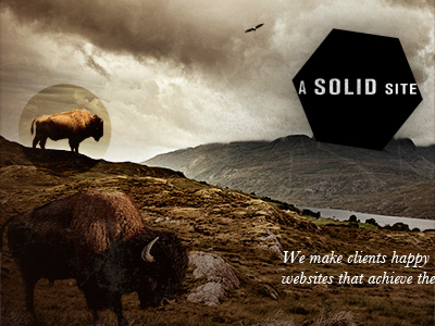 Solid Site - feature image animals collage logo photo manipulation web design