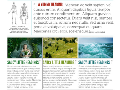 Another part of the responsive design chunk five layout league gothic museo slab responsive design typography web design