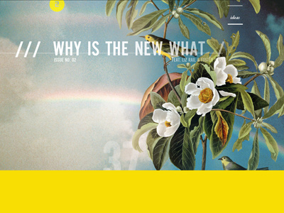 Issue No. 2 audubon bebas neue bird blue colourful personal work sky web design yellow