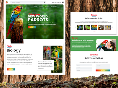 Macaw The New World Parrots birds macaw parrots uidesign uxdesign uxui webdesign website