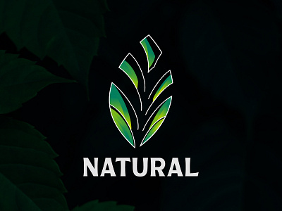 Flat and Modern Logo For NATURAL