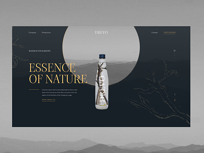 Altai wild water clean design drawing illustration layout ui water web website