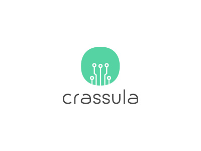 Crassula logo bank branding crassula financial green logo logo logotype payment startup stripe tech