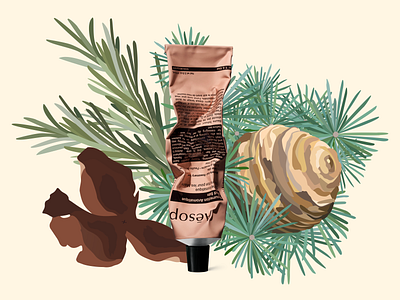 Aesop Illustration Design