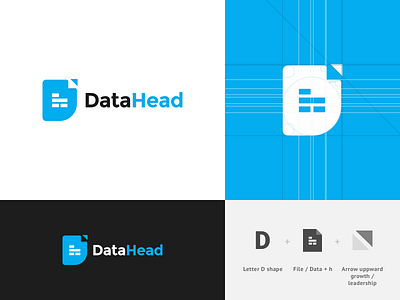 Data Head - Logo Design