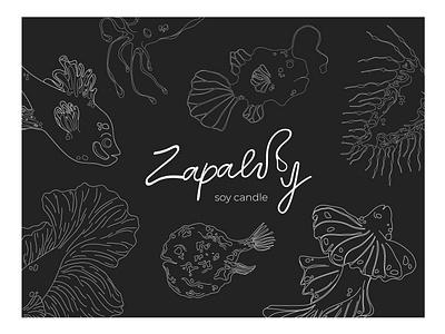 Zapaluy art design flat illustration illustrator logo package design subsea