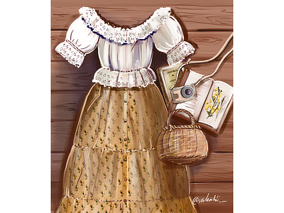 Rustic chic dress illustration procreate rustic